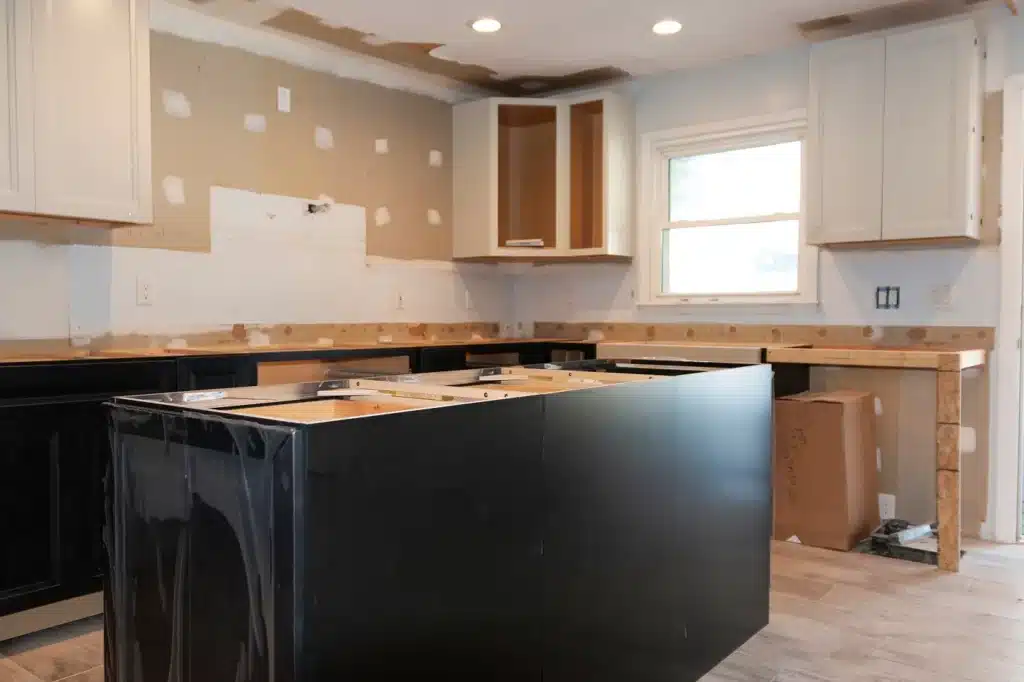Kitchen Reno In Progress