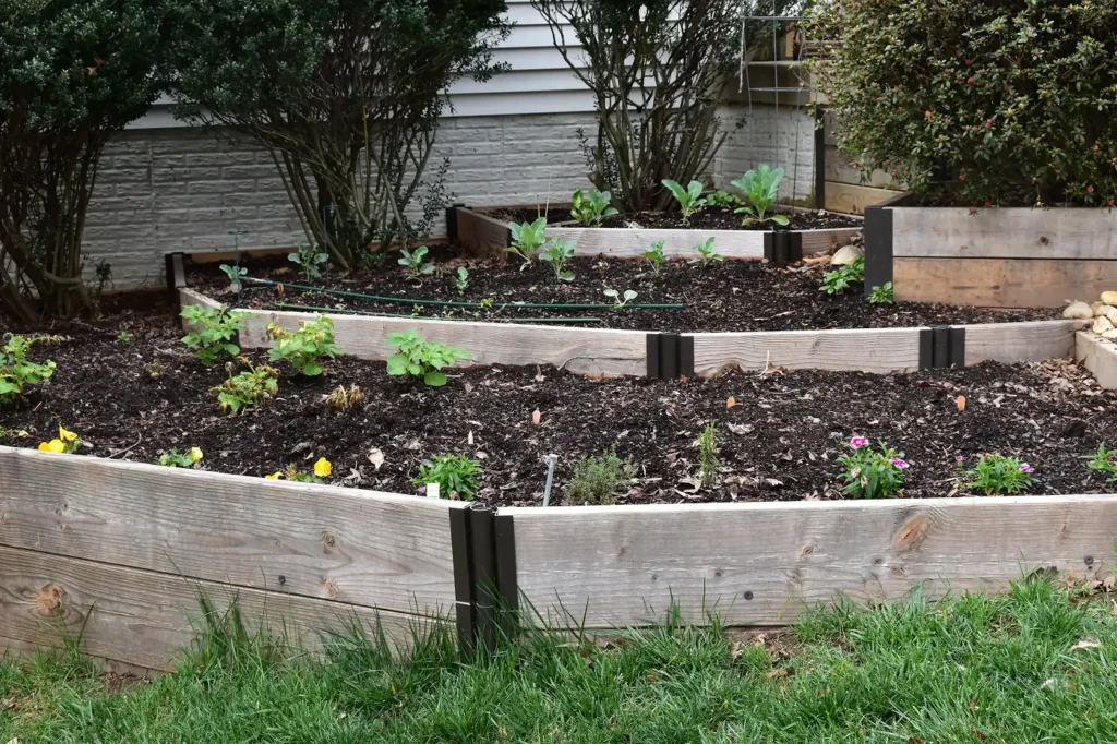 garden walls